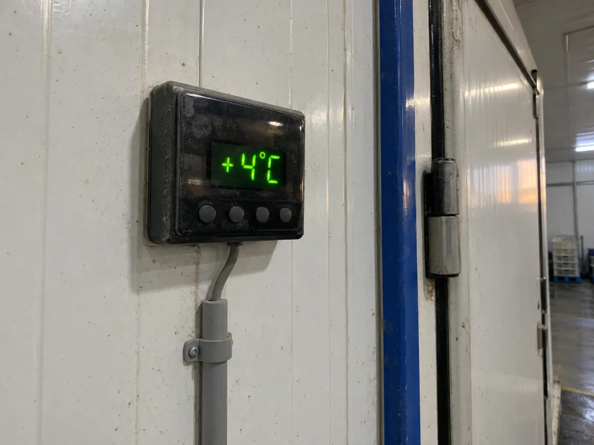 Régulateur électronique affichant +4°C dans une chambre froide agricole à Berrechid
